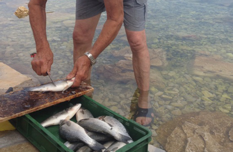 The only ingredients used while preparing the fish are LOCAL olive oil and sea salt. And, of course, the meal is accompanied by home-made liqueur, which is distilled on the island.